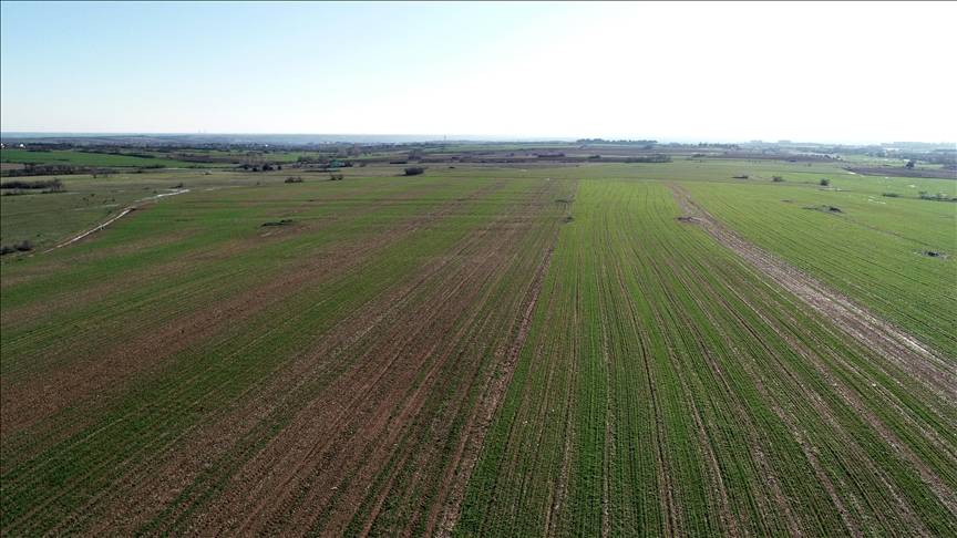 Sadece 73 bin TL’ye arsa fırsatı! Milli Emlak’tan devlet garantili imarlı arazi satışı başladı 3